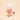 Peach Popsicle Squeaker Toy
