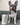 "A French Bulldog posing with a bag of Flower Power dog treats, emphasizing the product's appeal to all breeds."
