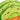 Barking Brunch - Avo-doggo ToastToysFound My Animal