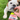 Beef Chips Snack Pack Bundles | Dog Treats for Training & TravelDog TreatsFound My Animal6 Pack