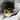 Bfast Set // ENRICHMENT DOG TOY // SNUFFLE TOY SETToysFound My Animal