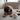 Bfast Set // ENRICHMENT DOG TOY // SNUFFLE TOY SETToysFound My Animal