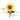 Blooming Buddies - Sassy SunflowerToysFound My Animal