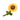 Blooming Buddies - Sassy SunflowerToysFound My Animal