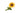 Blooming Buddies - Sassy SunflowerToysFound My Animal