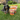 Chicken Chips for Dogs | All-Natural Single-Ingredient Dog TreatsDog TreatsFound My AnimalValue 12oz