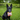 Chicken Chips Snack Pack Bundles | Dog Party Favors & Training TreatsDog TreatsFound My Animal6 Pack