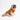 Circus Stripe Dog SweaterFound My AnimalRainbow