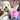Crunchy Jerky Dog Treats - Snappin' SalmonDog TreatsFound My Animal