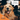 Dog Mamma's Organic Pumpkin Snaps Recipe- USDA Organic Certified Dog TreatsDog TreatsFound My Animal