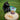 Fish Crumbles for Cats | All-Natural Fish Cat TreatsCat TreatsFound My Animal