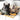 FROMAGE // ENRICHMENT DOG TOY // SNUFFLE TOYToysFound My Animal