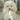 GARLIC POP//ENRICHMENT DOG TOYToysFound My Animal