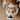 INSTANT CAMERA // ENRICHMENT DOG TOY // SNUFFLE TOYToysFound My Animal