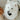 INSTANT CAMERA // ENRICHMENT DOG TOY // SNUFFLE TOYToysFound My Animal