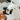 INSTANT CAMERA // ENRICHMENT DOG TOY // SNUFFLE TOYToysFound My Animal
