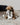 NOU // Gray // Crinkle clusters // ENRICHMENT DOG TOYToysFound My Animal