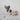 NOU // Gray // Crinkle clusters // ENRICHMENT DOG TOYToysFound My Animal