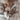 NOU // Gray // Crinkle clusters // ENRICHMENT DOG TOYToysFound My Animal