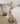 NOU//TAN//ENRICHMENT DOG TOYToysFound My Animal