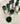 Paw SalveWellnessFound My Animal