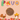 Premios Para Perros Fiesta Pack | Dog Treat Variety BundleDog TreatsFound My Animal
