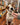 Puppy Polisher Eco Toothbrush - (Medium)WellnessFound My Animal
