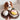 RAMEN // ENRICHMENT DOG TOY // Squeaky + Snuffle ToyToysFound My Animal
