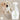 Stain and Odor RemoverWellnessFound My Animal