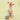 Tinned Jamón Nosework ToyToysFound My Animal