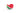Tropical Paradise_Wagging WatermelonToysFound My Animal
