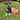 Turkey Chips for Dogs | All-Natural Single-Ingredient Healthy Dog TreatsDog TreatsFound My AnimalValue 12oz