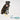 A stylish black dog sitting beside the Found My Animal azure rope dog leash, showcasing its vibrant blue, yellow, and green colors with premium brass hardware