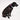 Found My Animal Jolie Flat Web Dog CollarDog CollarsFound My AnimalXS