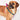 Found My Animal Jolie Webbing Cotton Dog & Cat Harness – Adjustable, Durable & StylishDog & Cat HarnessesFound My AnimalXS
