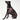 Found My Animal Jolie Webbing Cotton Dog & Cat Harness – Adjustable, Durable & StylishDog & Cat HarnessesFound My AnimalXS