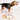 Soleil Cotton Rope Cat & Dog CollarDog CollarsFound My AnimalXS